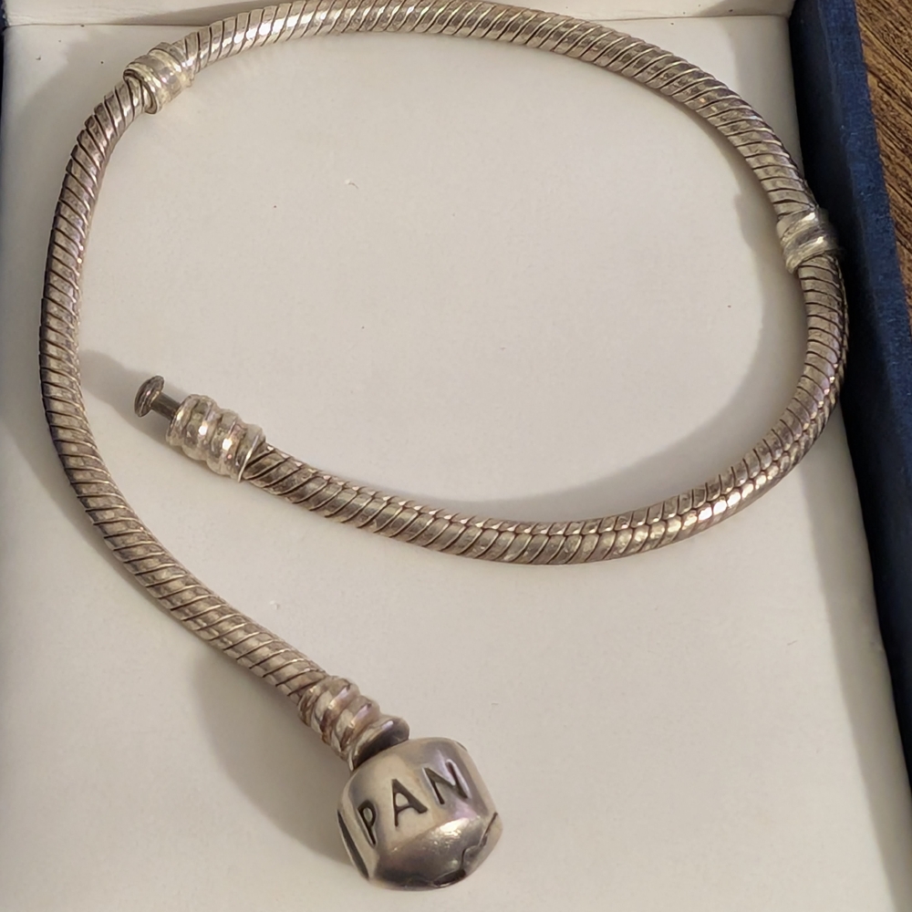 Pandora Snake Chain Bracelet